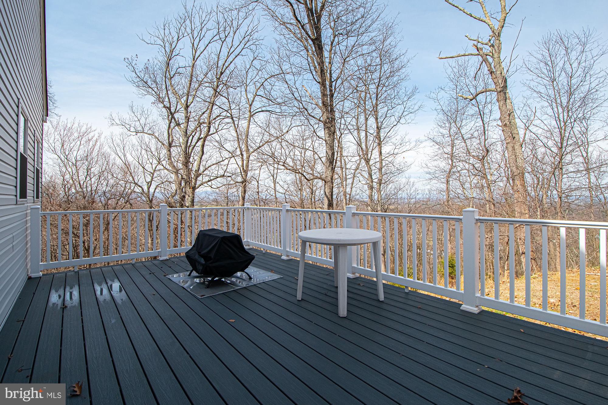 664 Brandy Road Front Royal, VA 22630 - Photo 13 of 59 Beautiful Trex deck, perfect for grilling.