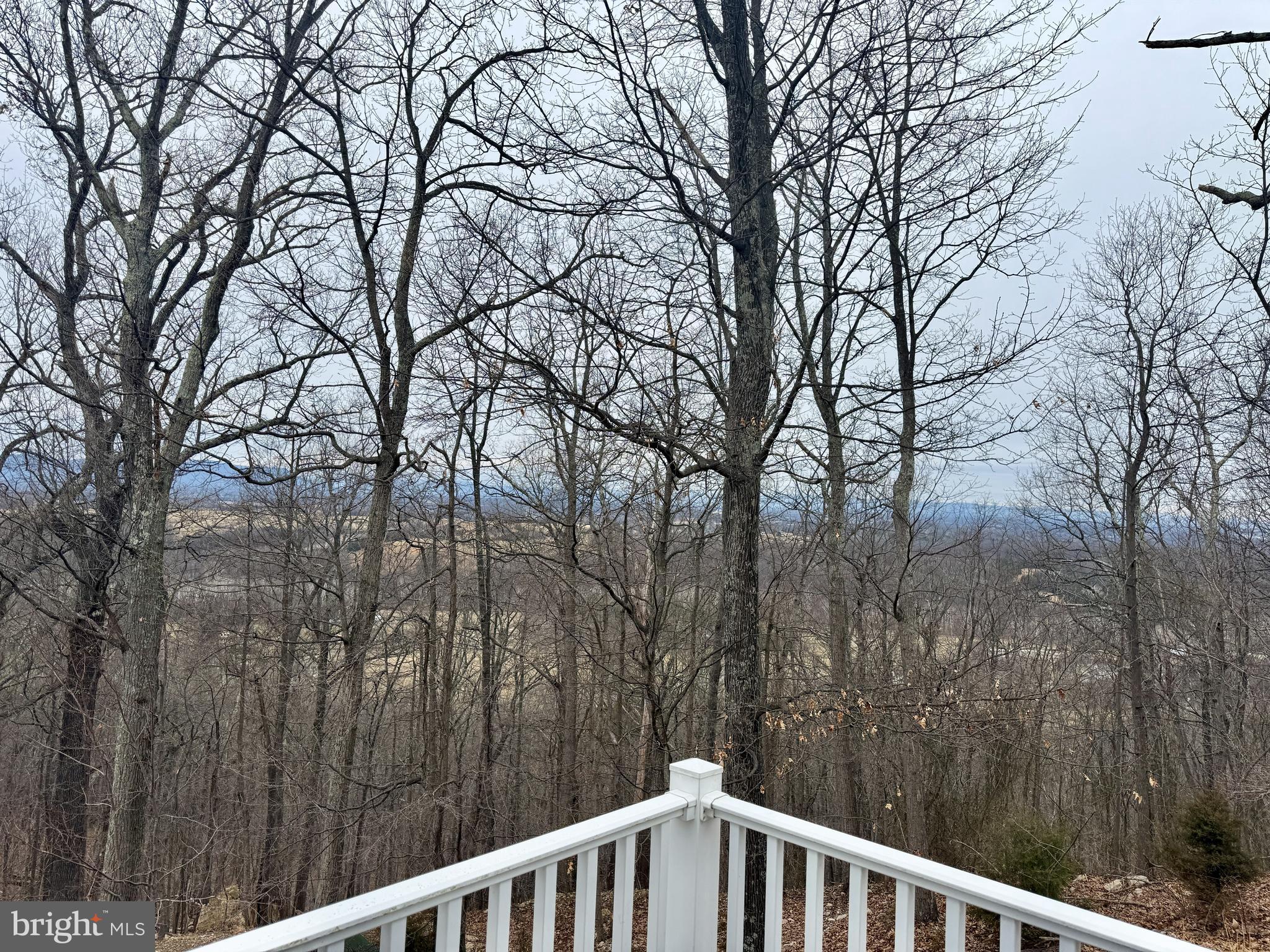 664 Brandy Road Front Royal, VA 22630 - Photo 15 of 59 Gorgeous views of the valley