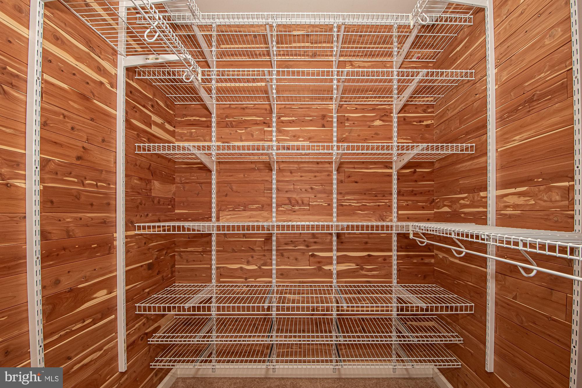 664 Brandy Road Front Royal, VA 22630 - Photo 23 of 59 Primary bedroom closet, cedar lined