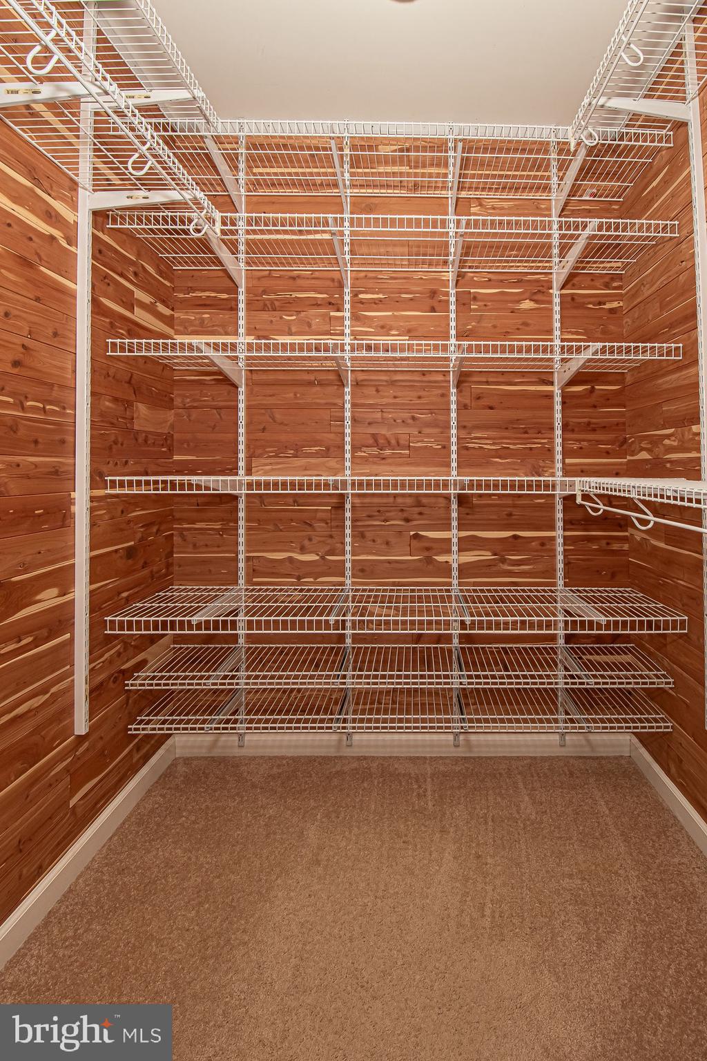 664 Brandy Road Front Royal, VA 22630 - Photo 24 of 59 Ventilated shelving in all of the closets