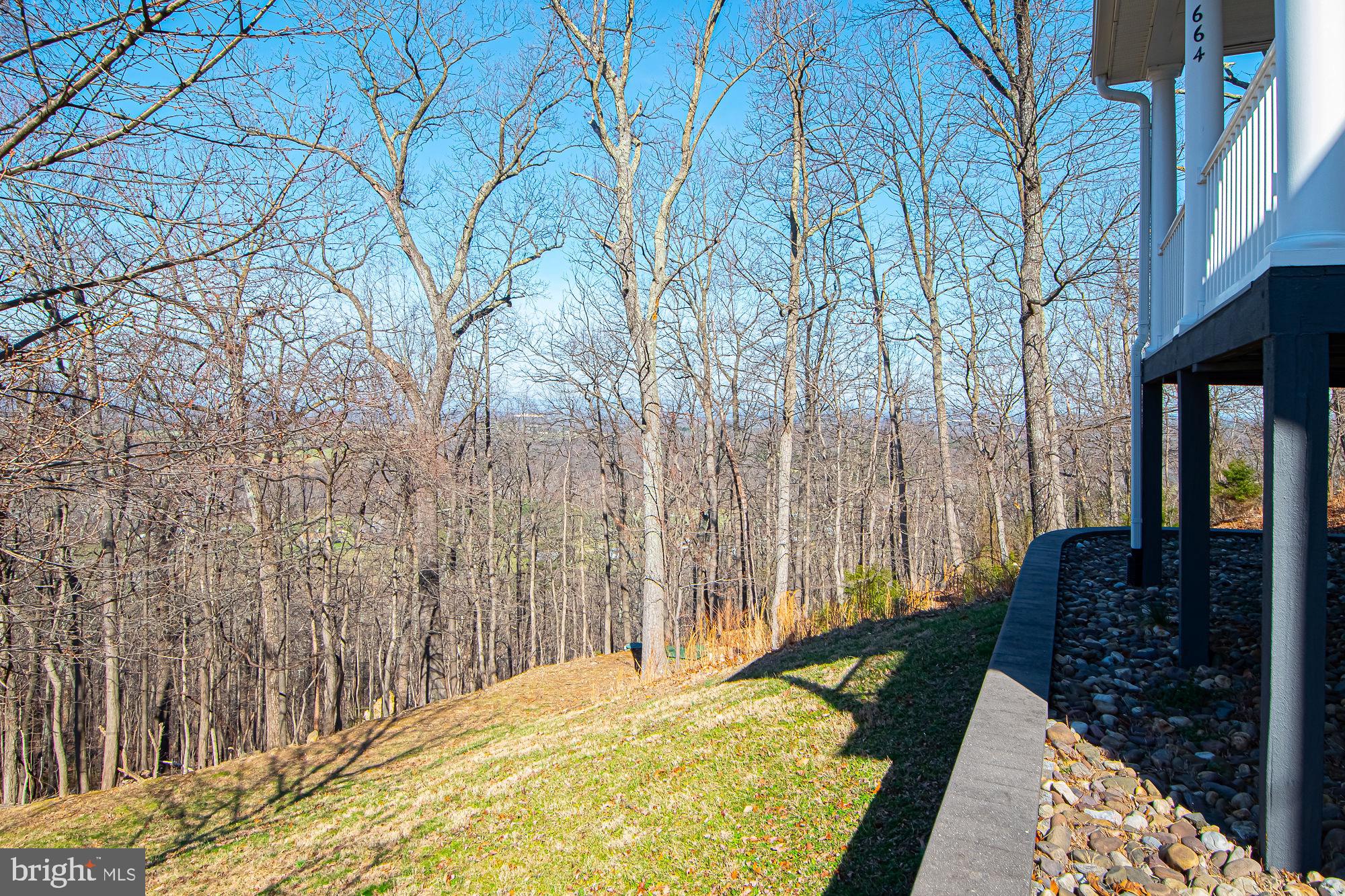 664 Brandy Road Front Royal, VA 22630 - Photo 49 of 59