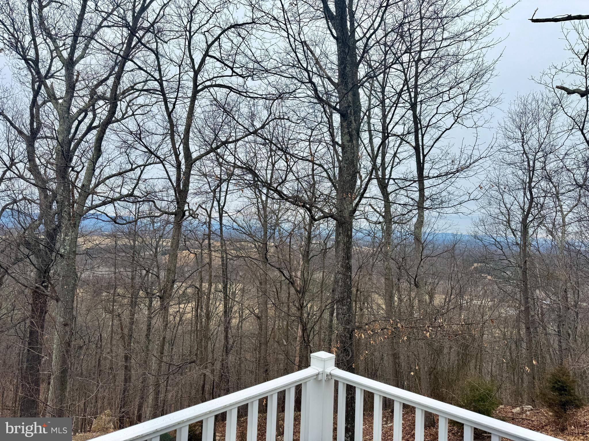 664 Brandy Road Front Royal, VA 22630 - Photo 57 of 59