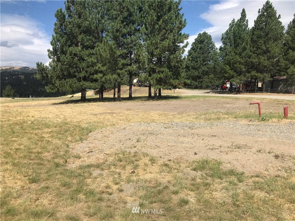 -lot55 Heron Loop Road Republic, WA 99166 - Photo 2 of 5 Gallery Image 2