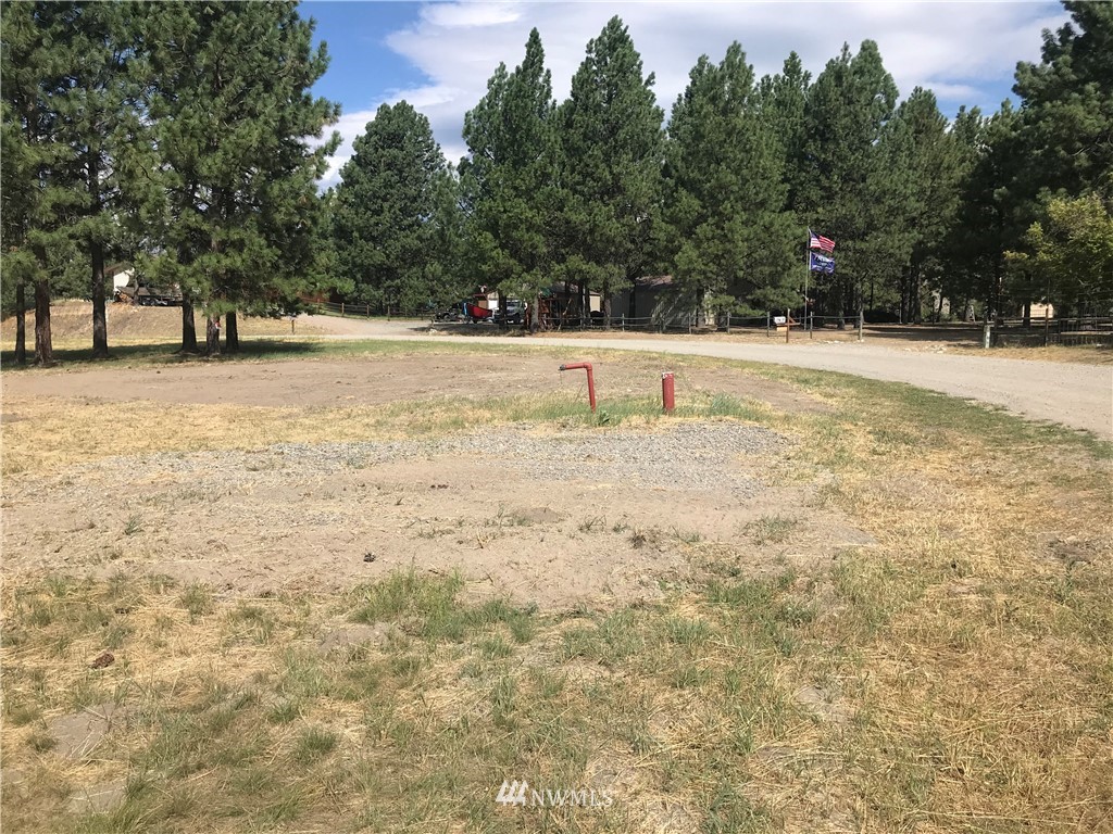 -lot55 Heron Loop Road Republic, WA 99166 - Photo 3 of 5 Gallery Image 3