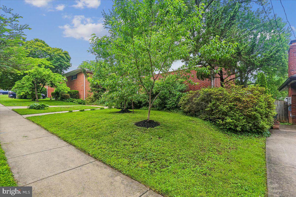 1703 Tilton Drive Silver Spring, MD 20902 - Photo 3 of 39 Lush greenery in a serene neighborhood.
