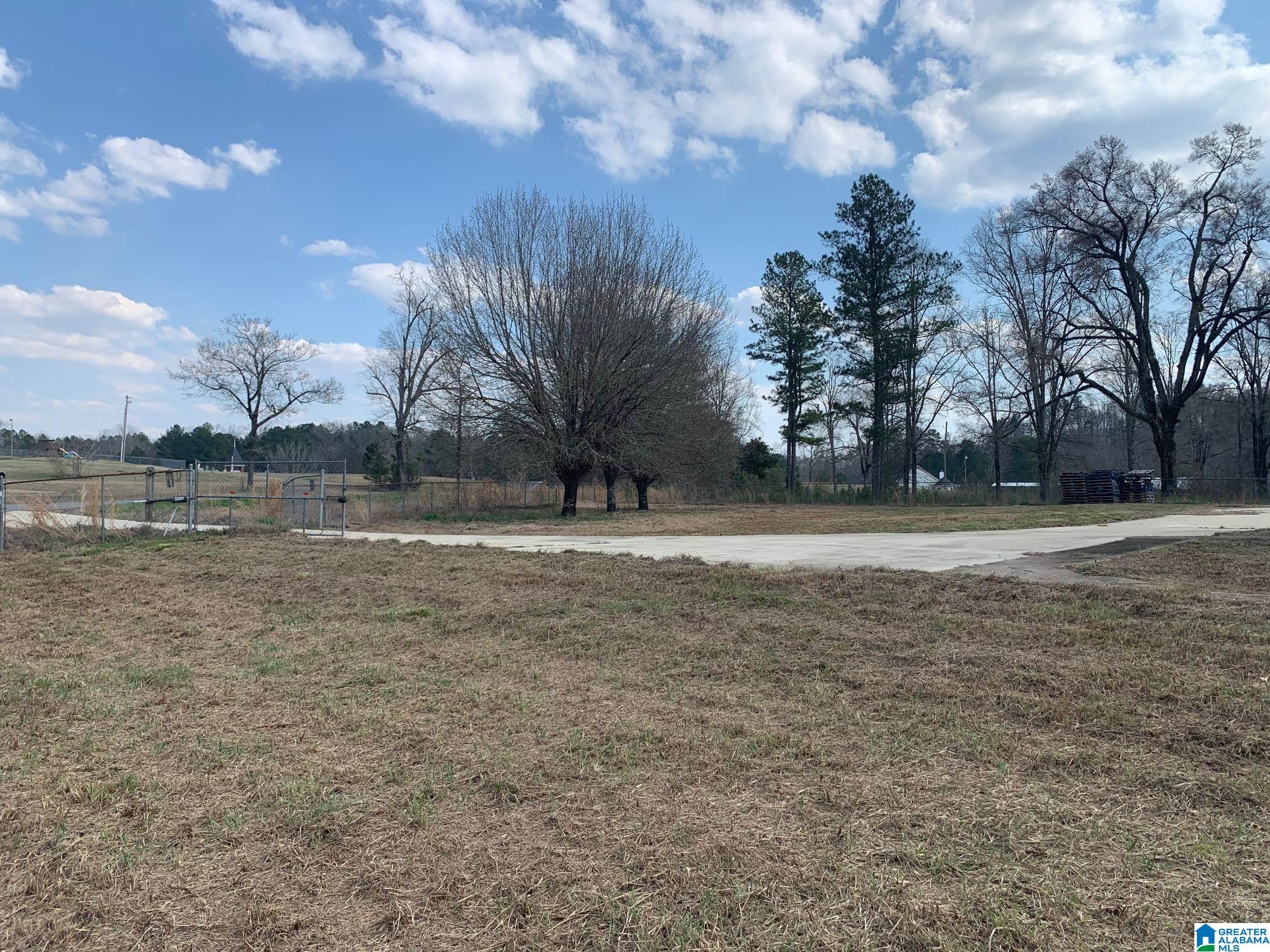 78 Middleton Road South Ohatchee, AL 36271 - Photo 4 of 31