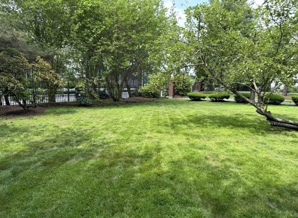 600 Washington Street, Unit 7 Wellesley, MA 02482 - Photo 12 of 13 a view of a green yard