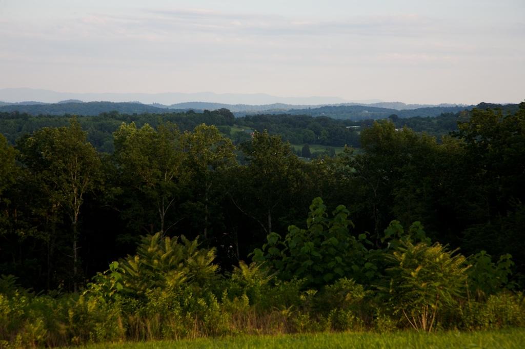 2058 James Ridge Road Loudon, TN 37774 - Photo 11 of 11 Smoky Mtn View
