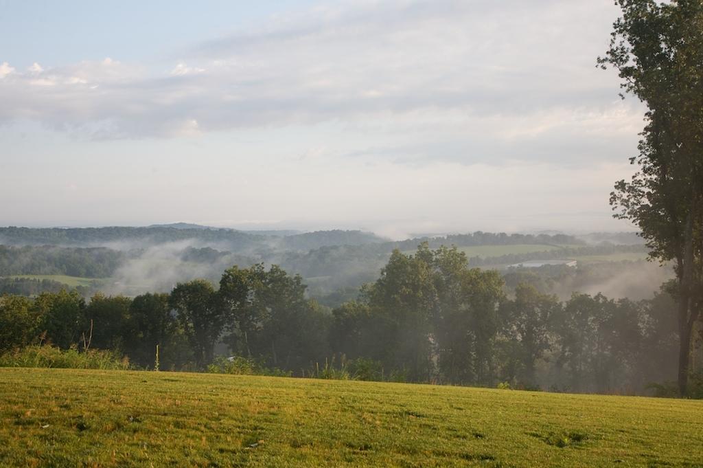 2058 James Ridge Road Loudon, TN 37774 - Photo 7 of 11 James Ridge Landscape