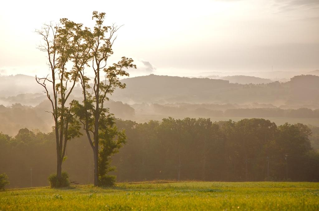 2058 James Ridge Road Loudon, TN 37774 - Photo 9 of 11 Land View 3 JR