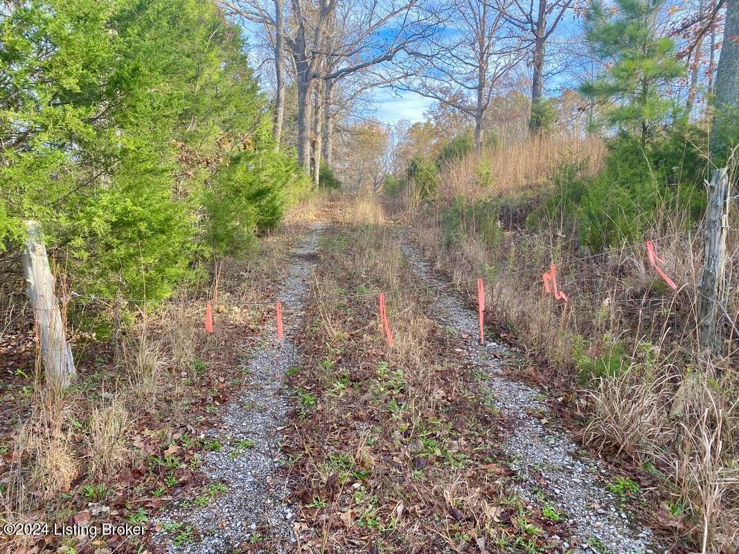 0 Hornback Road Millwood, KY 42762 - Photo 16 of 21 0 Hornback Rd 9