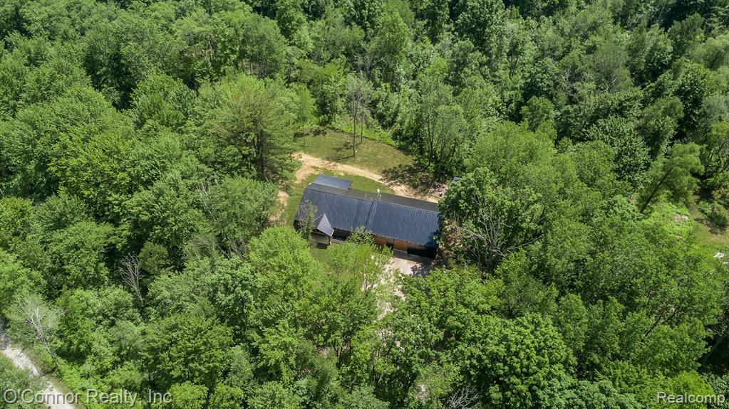 3650 Rabidue Road North Street, MI 48049 - Photo 47 of 53