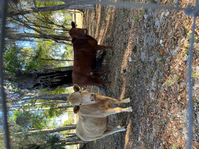 $995,000 | 1220 A Road, LaBelle, FL 33935