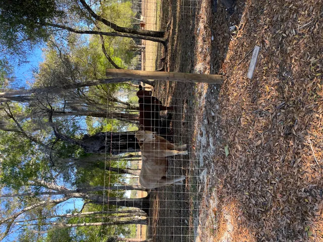 $995,000 | 1220 A Road, LaBelle, FL 33935