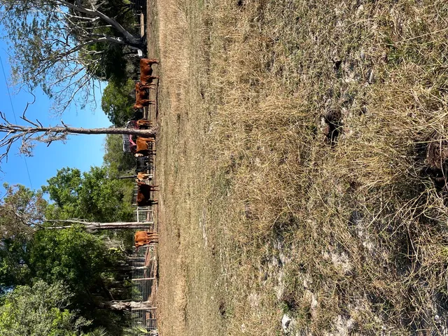 $995,000 | 1220 A Road, LaBelle, FL 33935