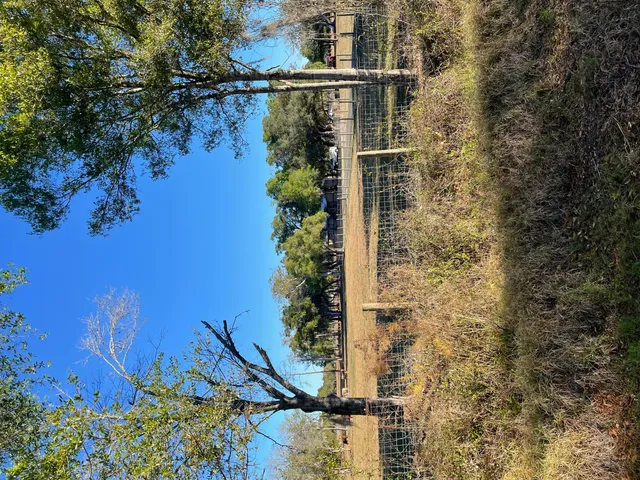 $995,000 | 1220 A Road, LaBelle, FL 33935