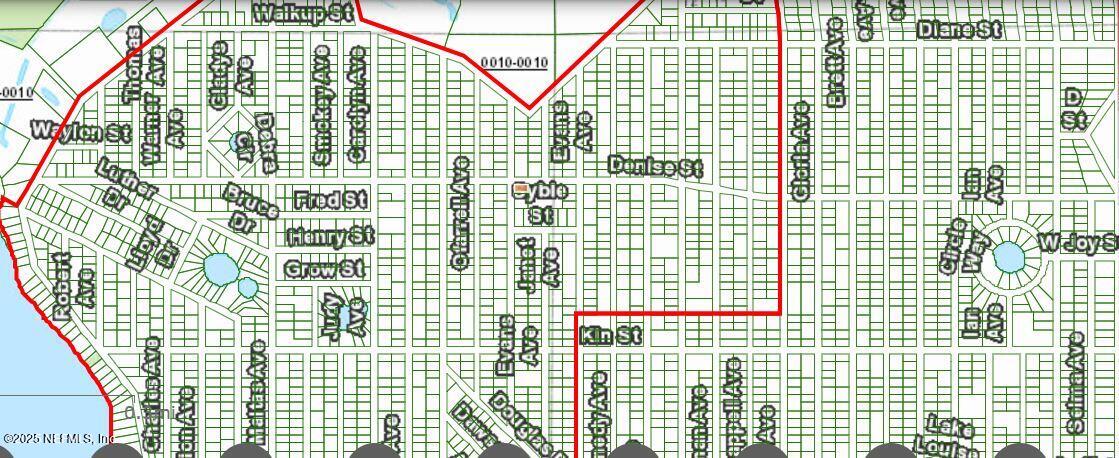 0 Denise Street Interlachen, FL 32148 - Photo 5 of 5 0 Denise Street