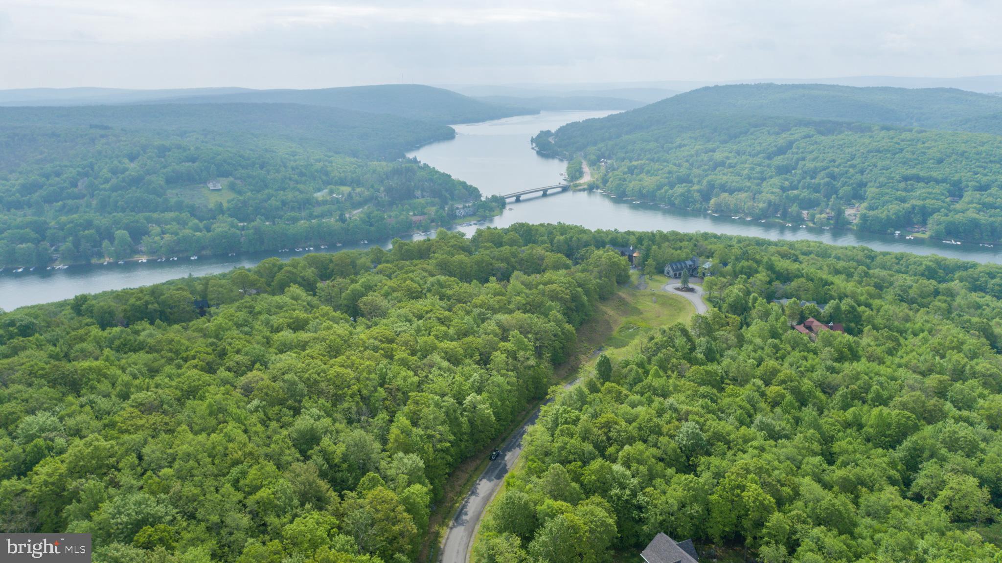 Lot 47 Mountaintop Road McHenry, MD 21541 - Photo 12 of 26 a view of a lush green forest with houses