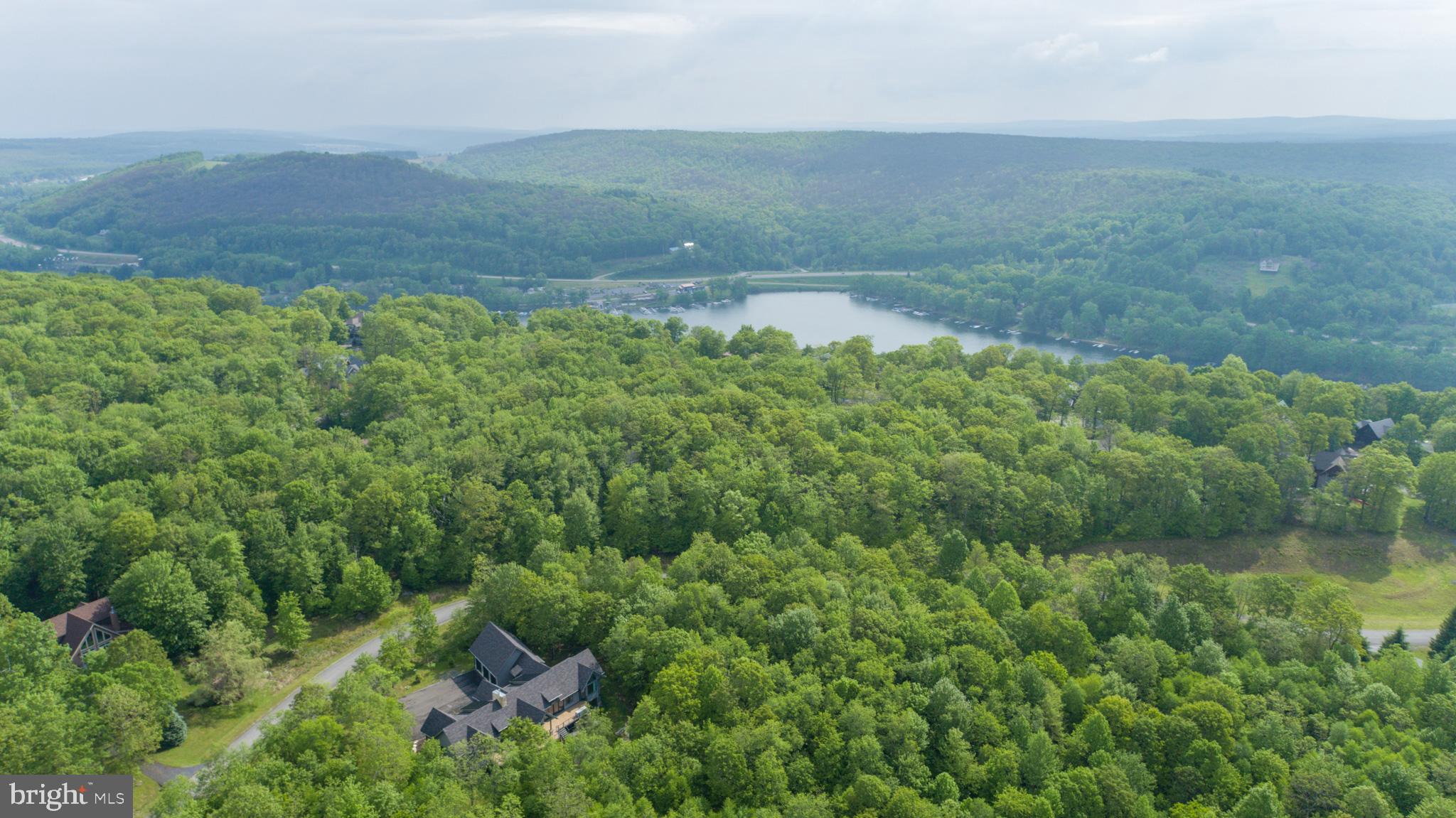 Lot 47 Mountaintop Road McHenry, MD 21541 - Photo 15 of 26 a view of a lush green forest with lots of trees