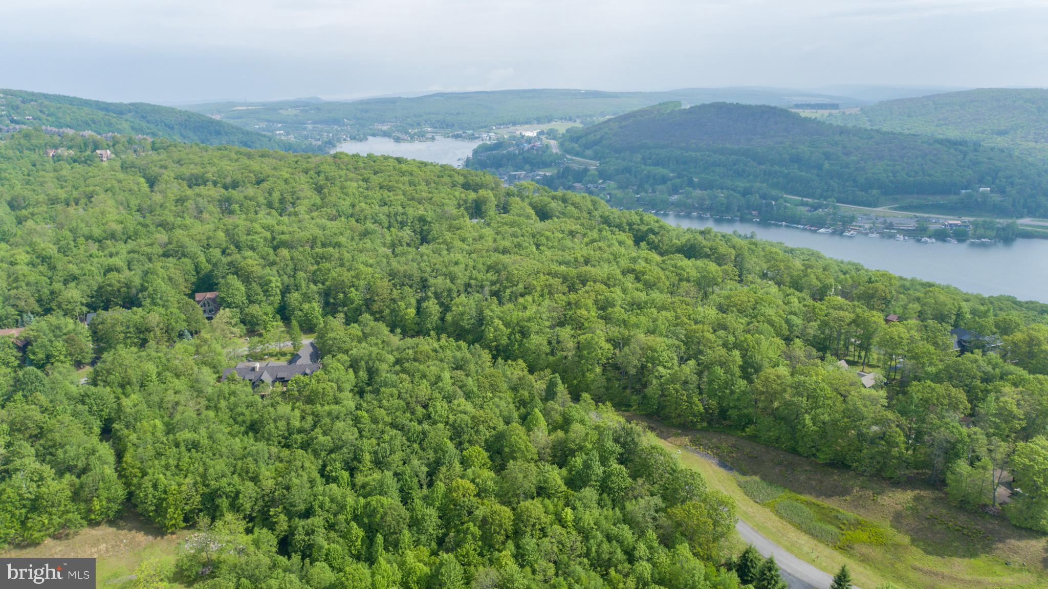 Lot 47 Mountaintop Road McHenry, MD 21541 - Photo 16 of 26 a view of a lush green field with a mountain in the background