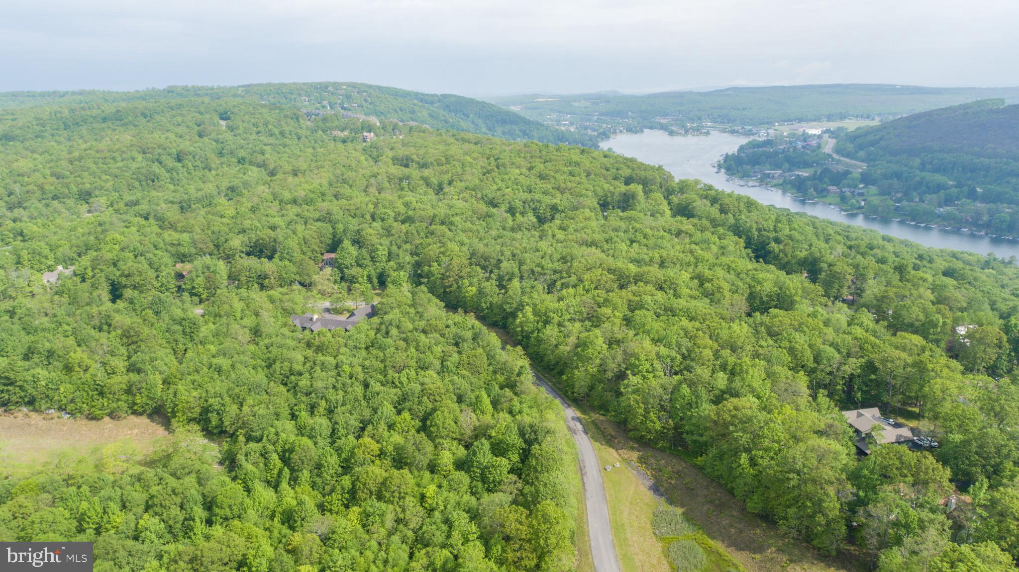 Lot 47 Mountaintop Road McHenry, MD 21541 - Photo 17 of 26 a view of a yard with an trees