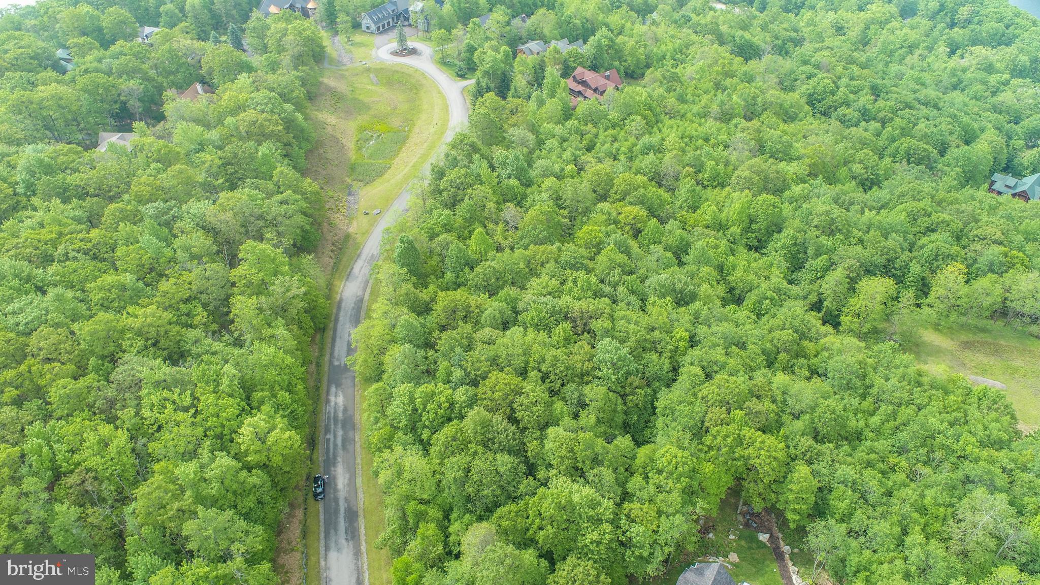 Lot 47 Mountaintop Road McHenry, MD 21541 - Photo 19 of 26 a map view of a forest