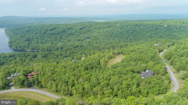 a view of a big yard with large trees