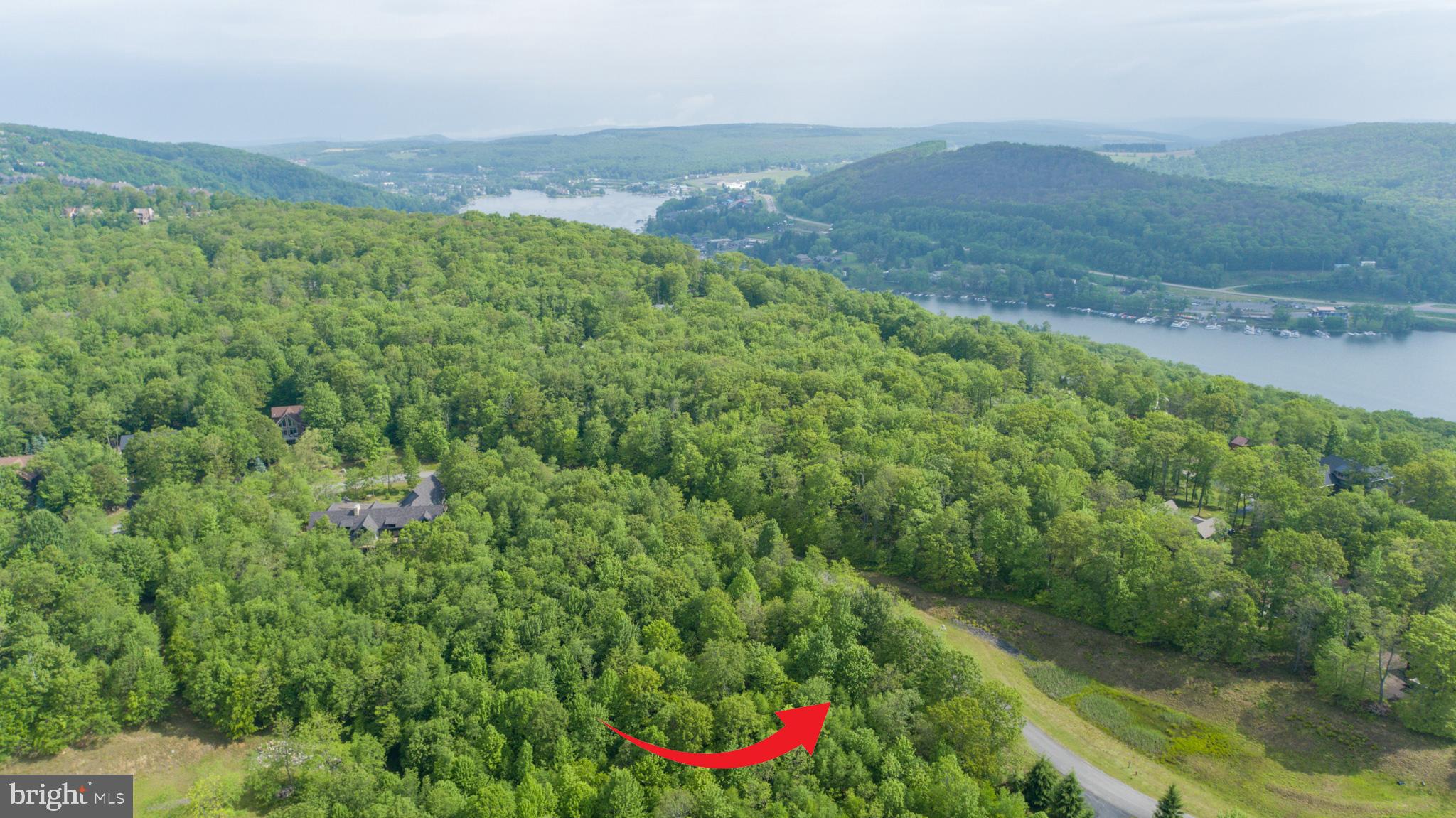 Lot 47 Mountaintop Road McHenry, MD 21541 - Photo 2 of 26 a view of a lush green field with lots of bushes