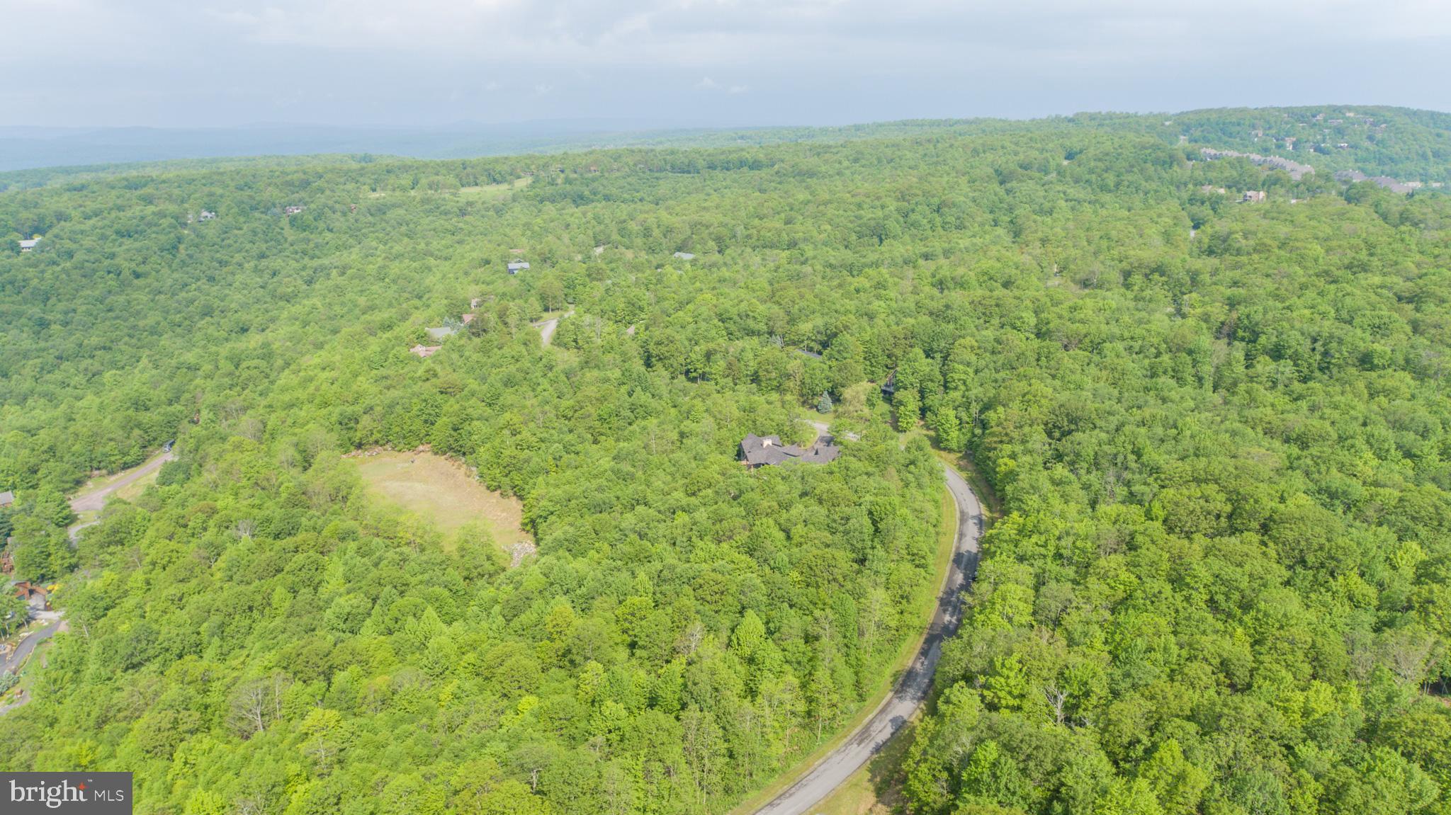 Lot 47 Mountaintop Road McHenry, MD 21541 - Photo 22 of 26 a view of a big yard with large trees