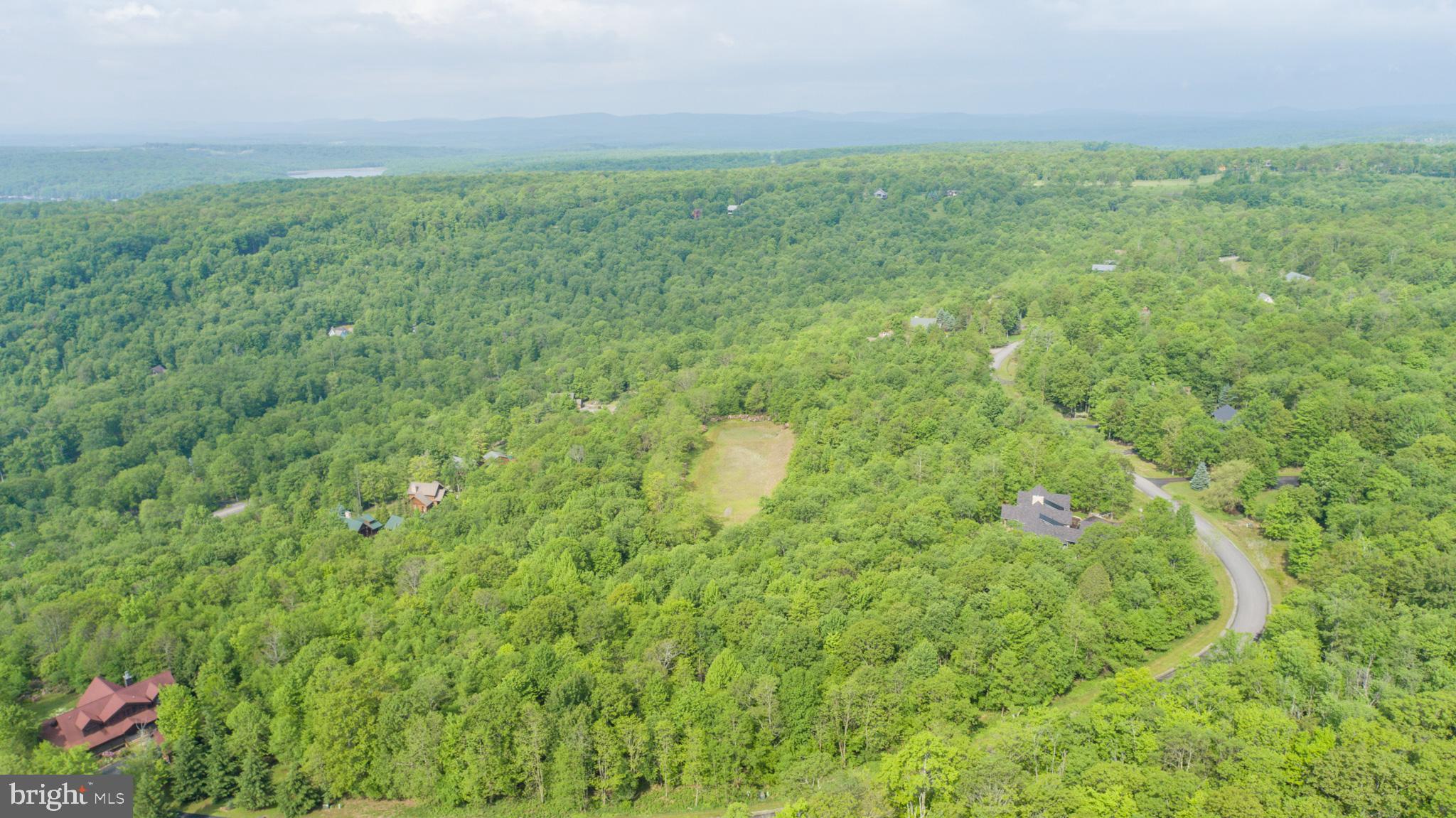 Lot 47 Mountaintop Road McHenry, MD 21541 - Photo 23 of 26 a view of a big yard with plants and large trees