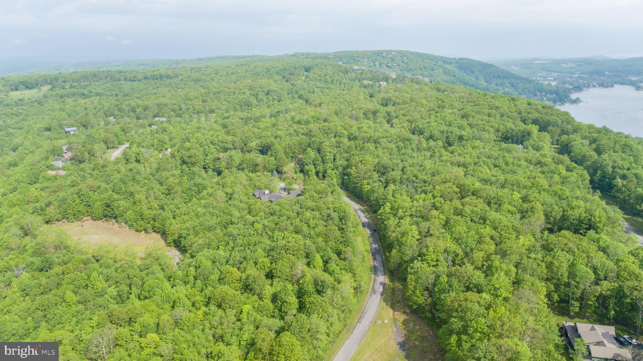 Lot 47 Mountaintop Road McHenry, MD 21541 - Photo 24 of 26 a view of a big yard with plants and large trees