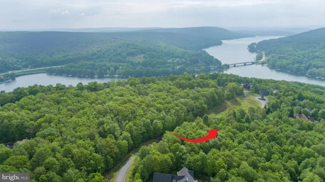 a view of a garden with a flower plants and large trees