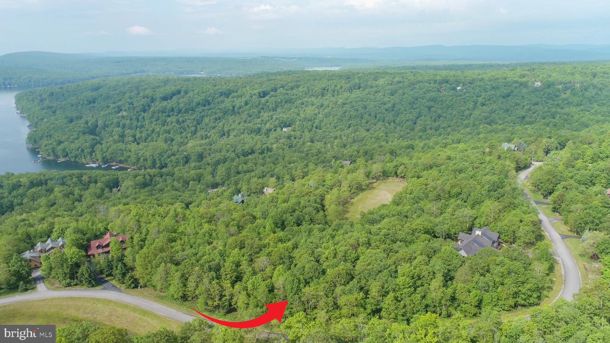 Lot 47 Mountaintop Road McHenry, MD 21541 - Photo 4 of 26 a view of a garden with a flower plants and large trees