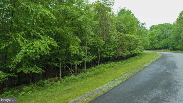 a view of a field of grass and trees