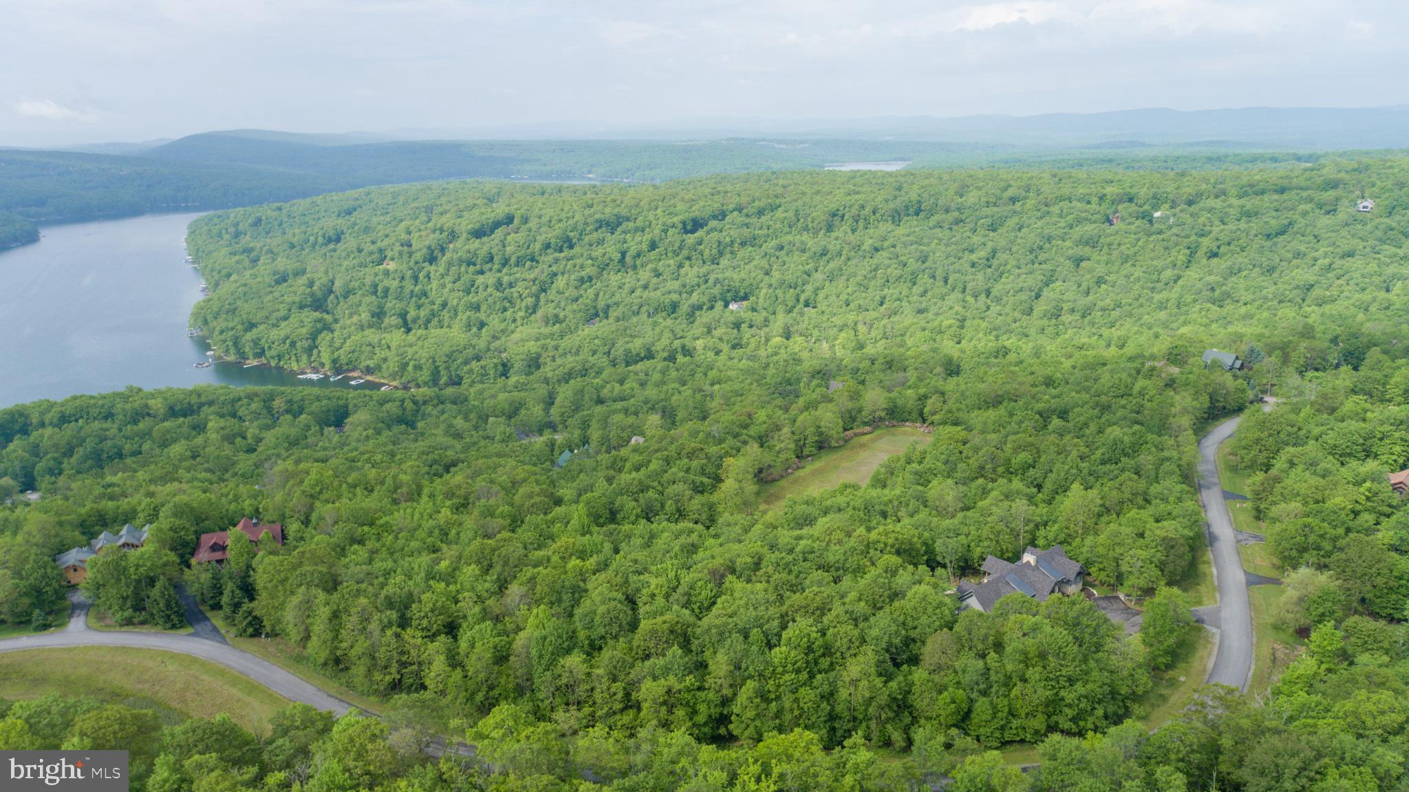 Lot 47 Mountaintop Road McHenry, MD 21541 - Photo 7 of 26 a view of a field of grass and trees