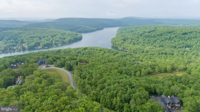 a view of a lush green forest with lots of trees
