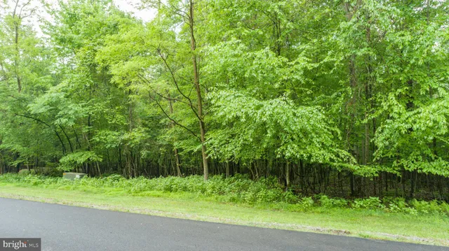 a view of a lush green forest with houses