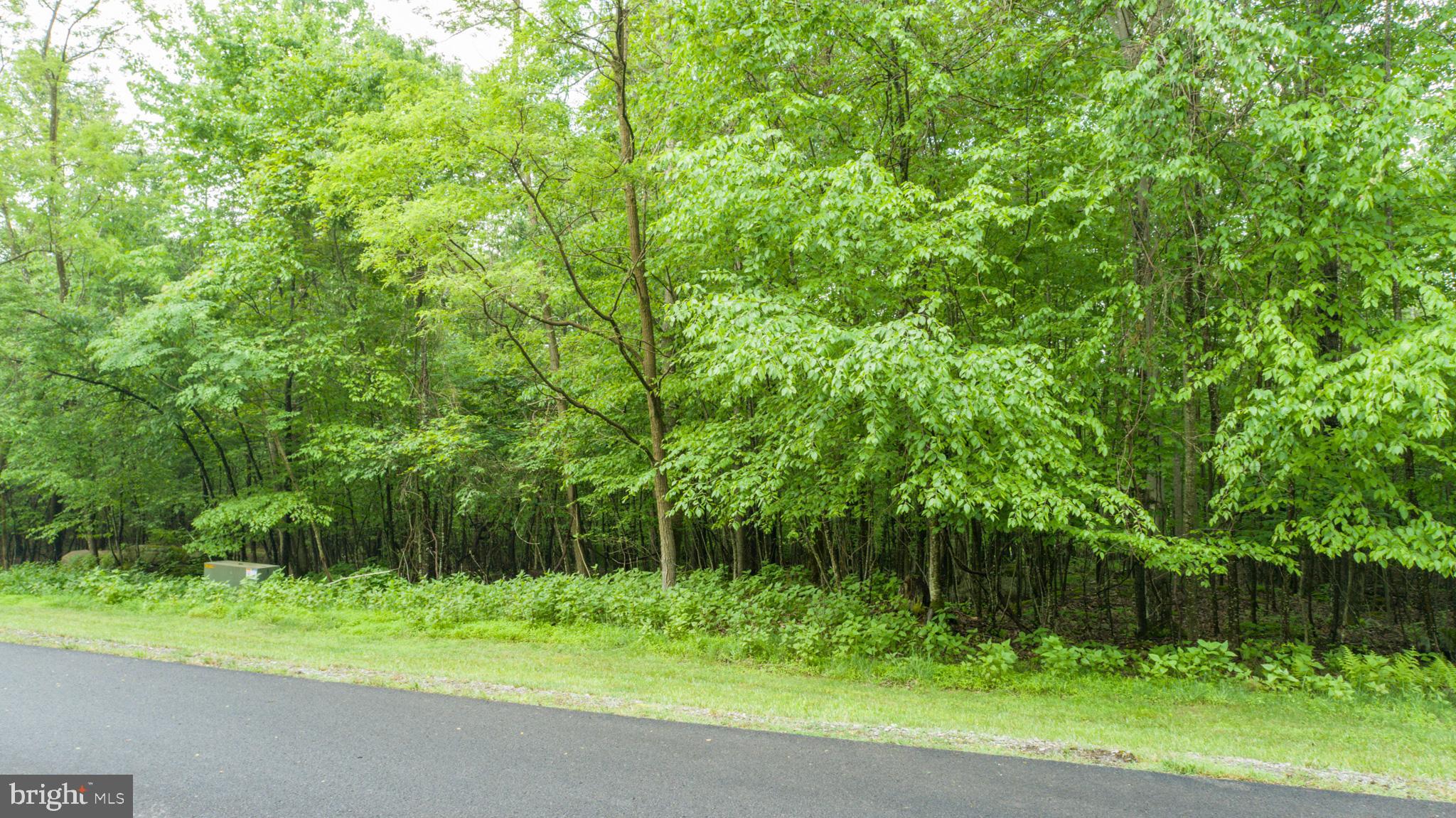 Lot 47 Mountaintop Road McHenry, MD 21541 - Photo 10 of 26 a backyard of a house with trees and plants