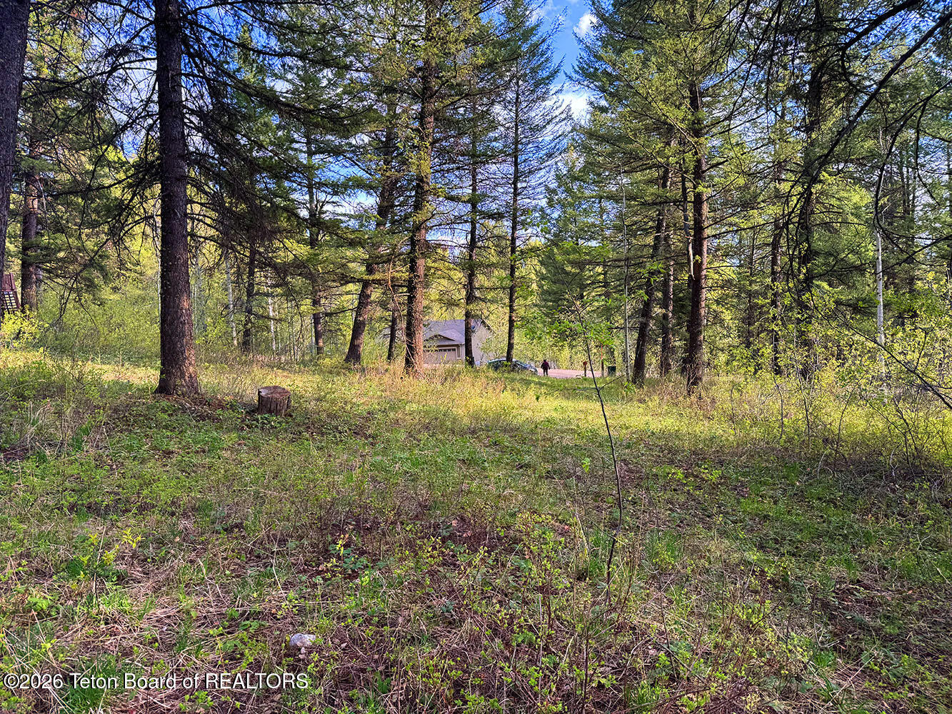 Lot 83 Oak Drive Star Valley Ranch, WY 83127 - Photo 3 of 9 IMG_6501