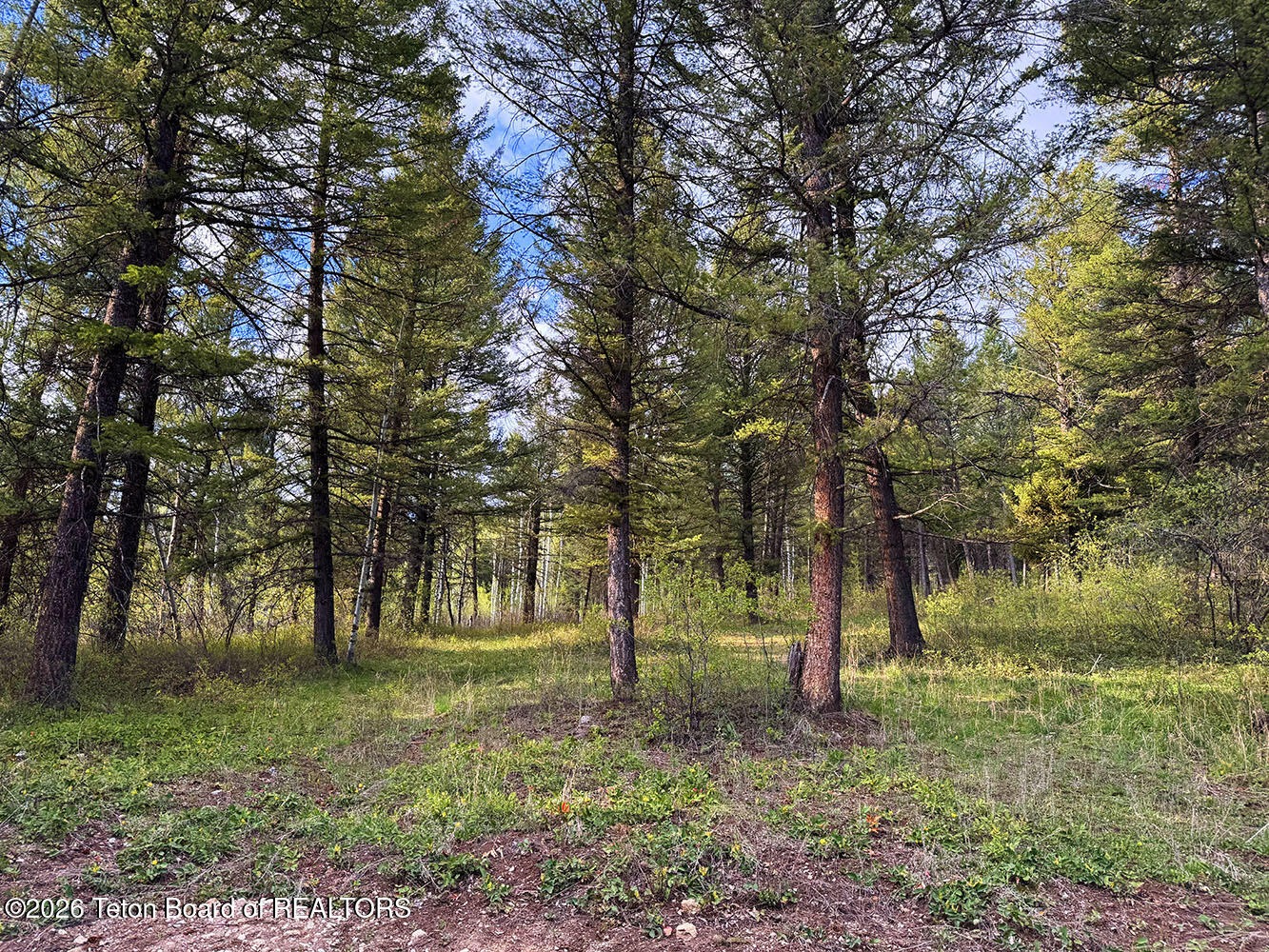 Lot 83 Oak Drive Star Valley Ranch, WY 83127 - Photo 5 of 9 IMG_6510