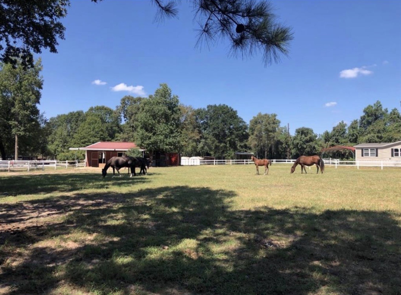 26768 B Dobbin-Huffsmith Road Magnolia, TX 77354 - Photo 21 of 21 Gallery Image 21