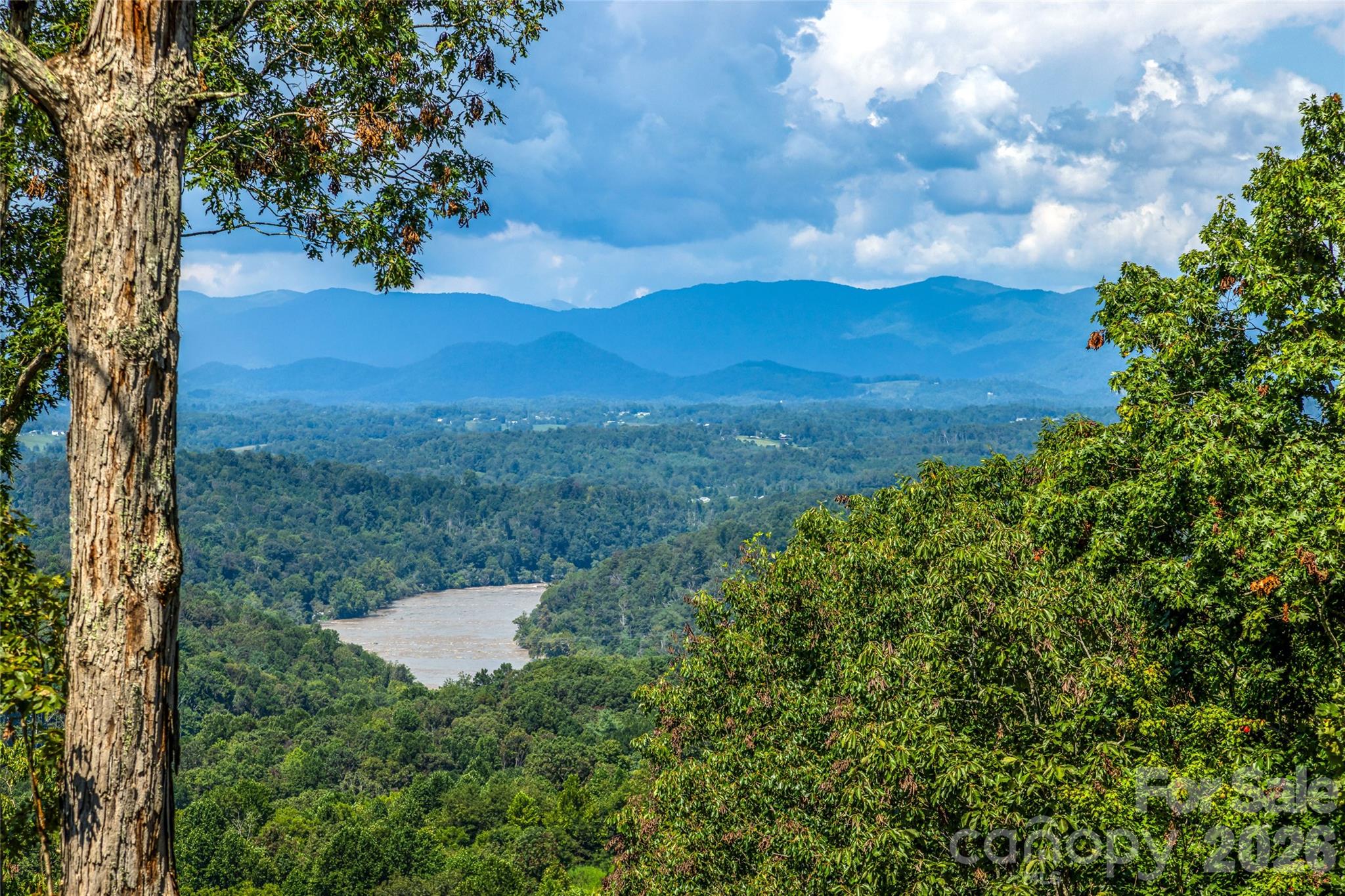 82 Running Ridge Road Asheville, NC 28804 - Photo 2 of 45 a view of a yard with an tree