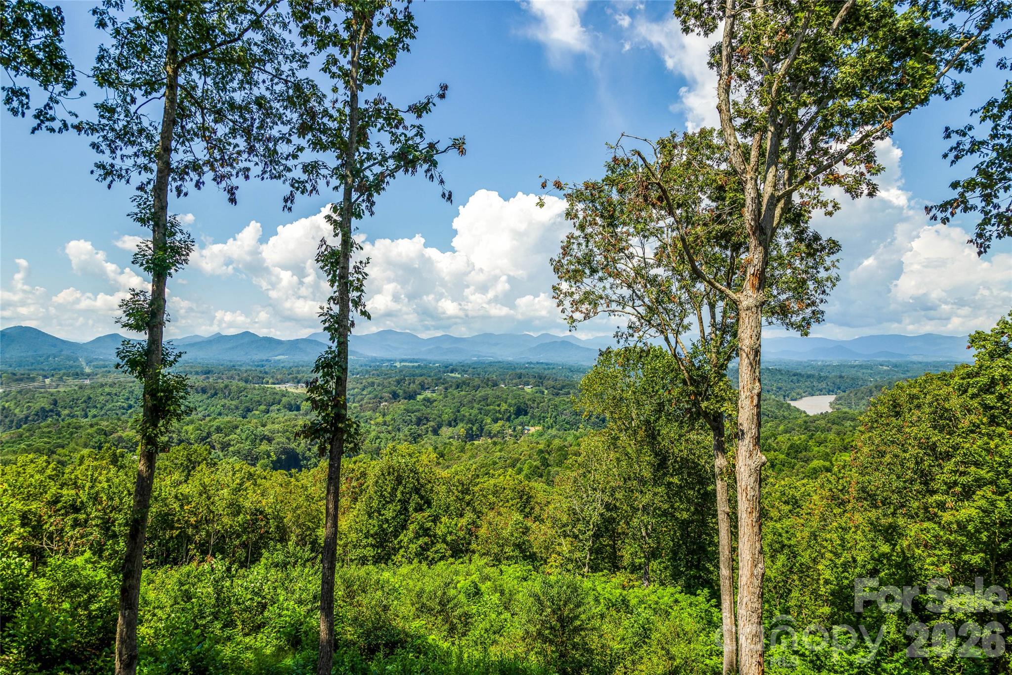 82 Running Ridge Road Asheville, NC 28804 - Photo 35 of 45 a view of a yard