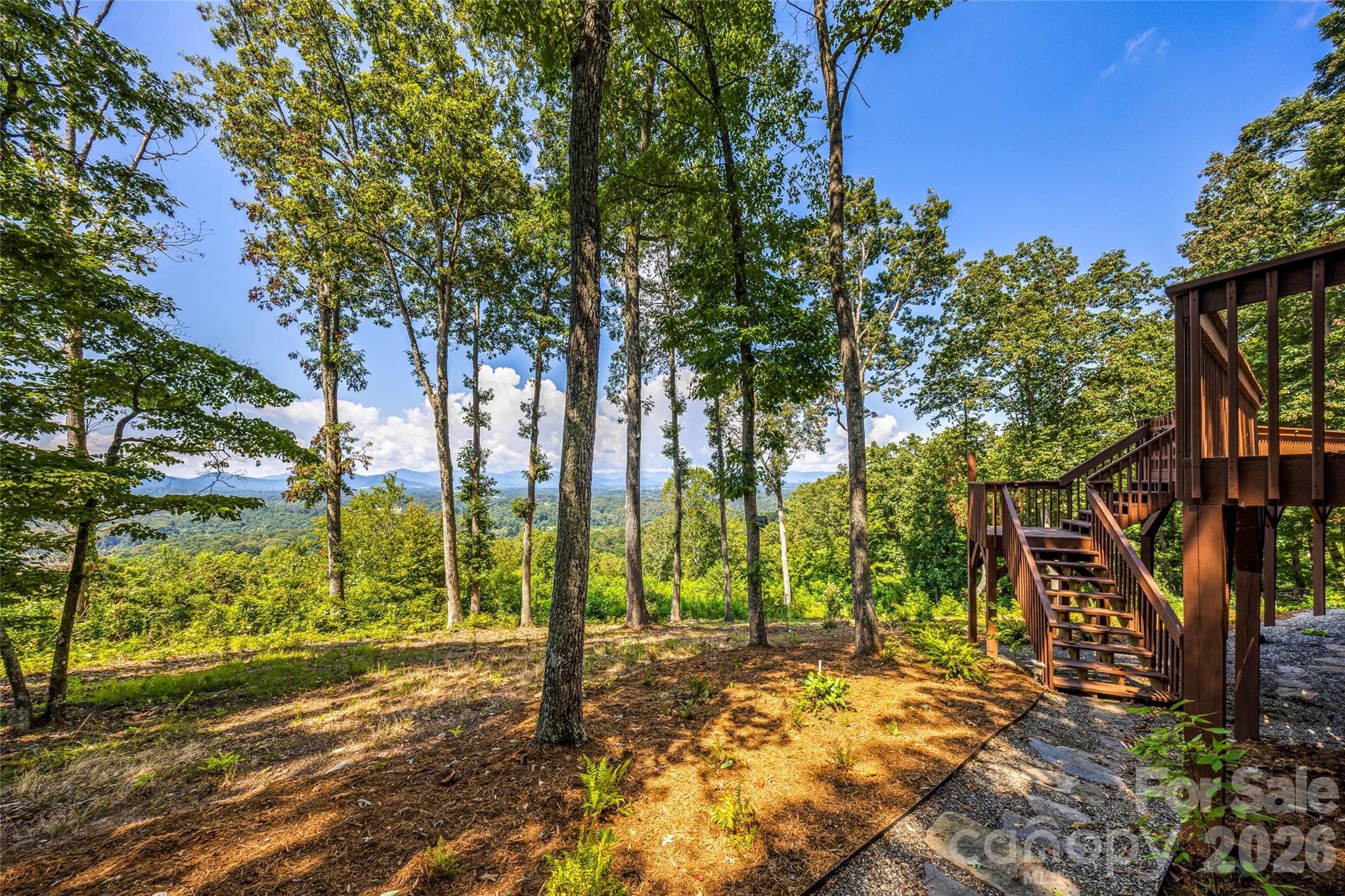 82 Running Ridge Road Asheville, NC 28804 - Photo 38 of 45 a view of backyard of the house