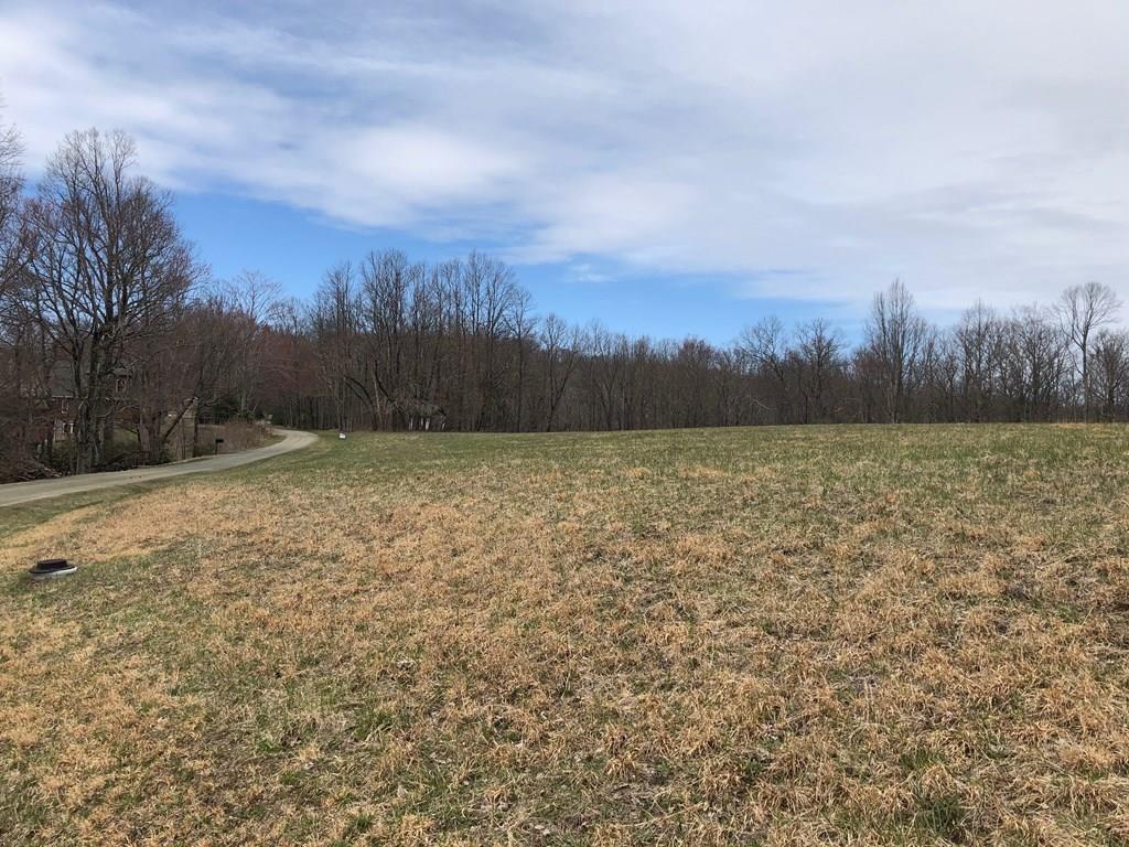 Tbd Rhododendron Road, Unit 54D Hillsville, VA 24343 - Photo 1 of 1 Gallery Image 1