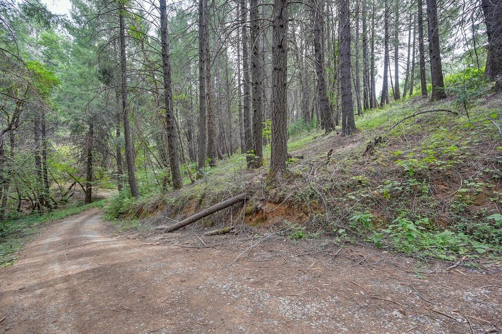 0 Marshall Road Georgetown, CA 95634 - Photo 4 of 15