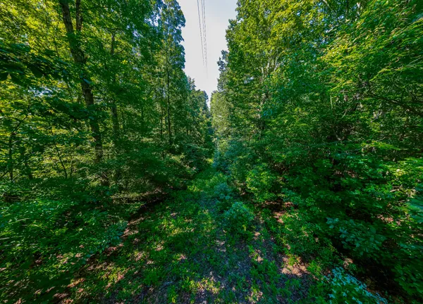 $111,120 | 0 Mann Road, Huntland, TN 37345