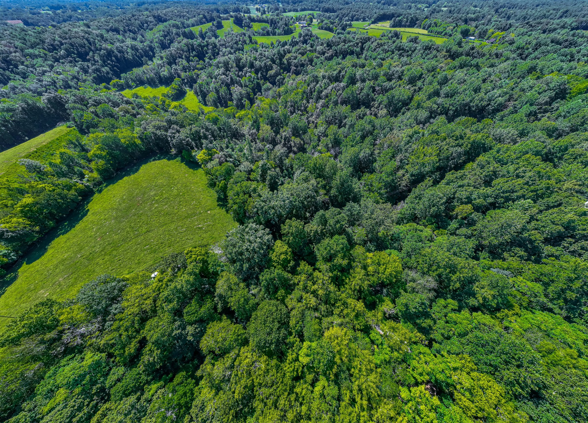 0 Mann Road Huntland, TN 37345 - Photo 2 of 15 a view of a garden in a yard