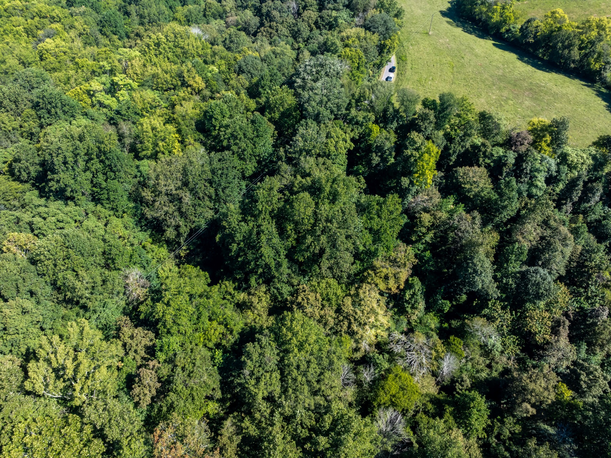 0 Mann Road Huntland, TN 37345 - Photo 4 of 15 an aerial view of residential house with outdoor space and trees all around