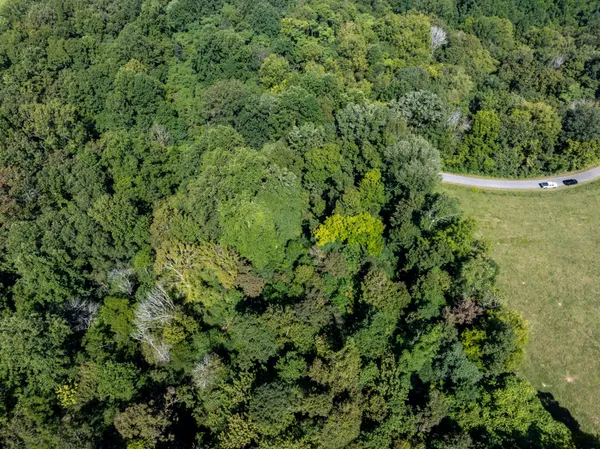 a view of a garden with a building